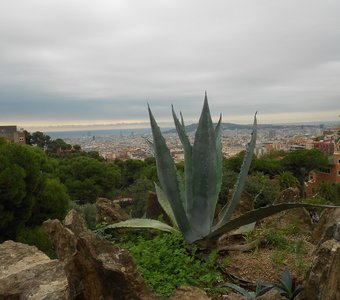 Вид на Барселону из парка Гуэль.