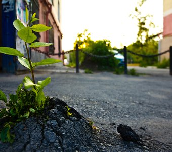 Перерождение