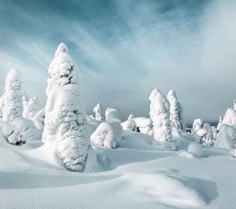 Белое безмолвие на горе Кивакка. Карелия. Россия
