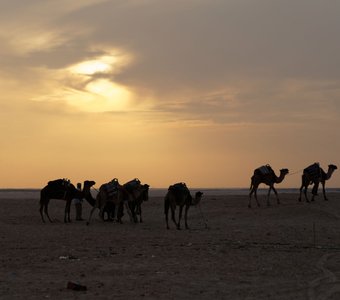 Закат в пустыне Сахара