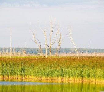 Возле реки