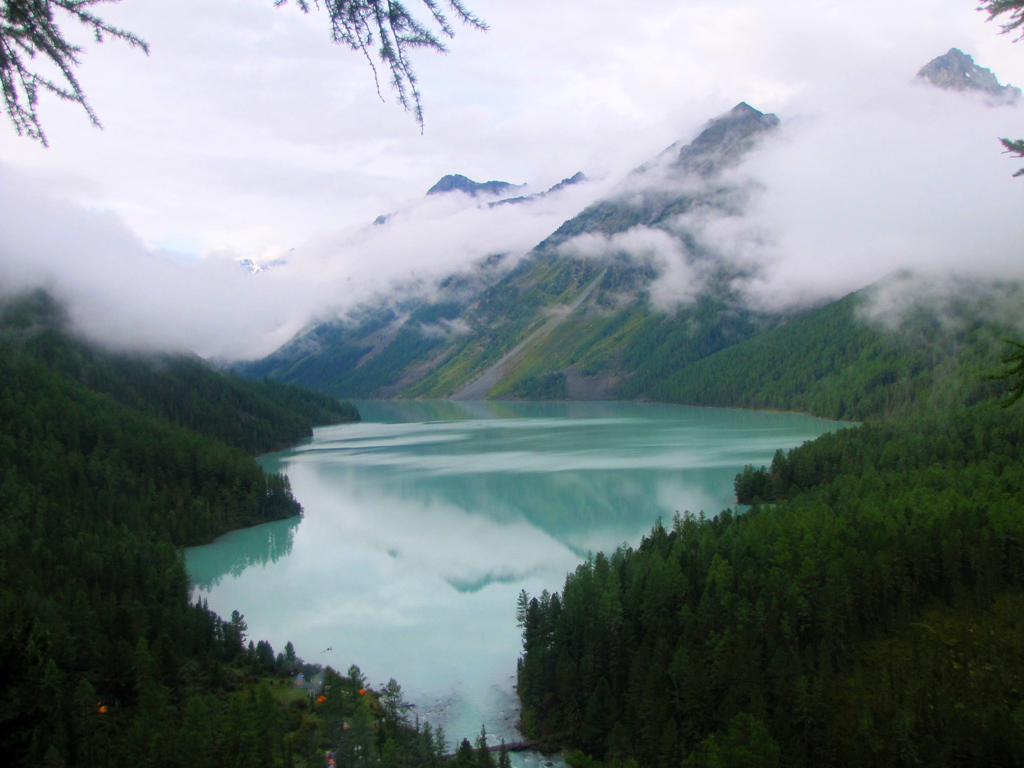 Оттенок зеленого