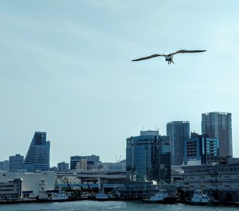 Панорама Токио из корабля