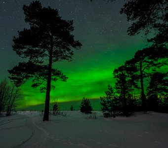 Северное сияние