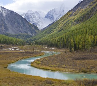 касаясь красоты