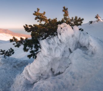 Творенье крымских вьюг