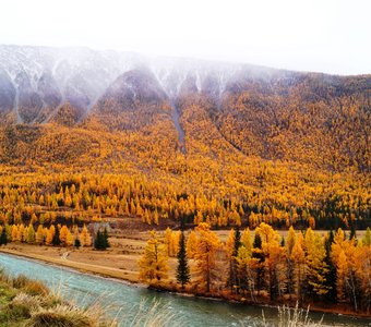 Золотая осень на Алтае