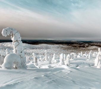 Зимний вид с горы Кивакка. Карелия. Россия