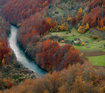 Река Тара