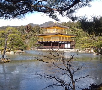 Кинкаку-дзи (Золотой павильон). Киото