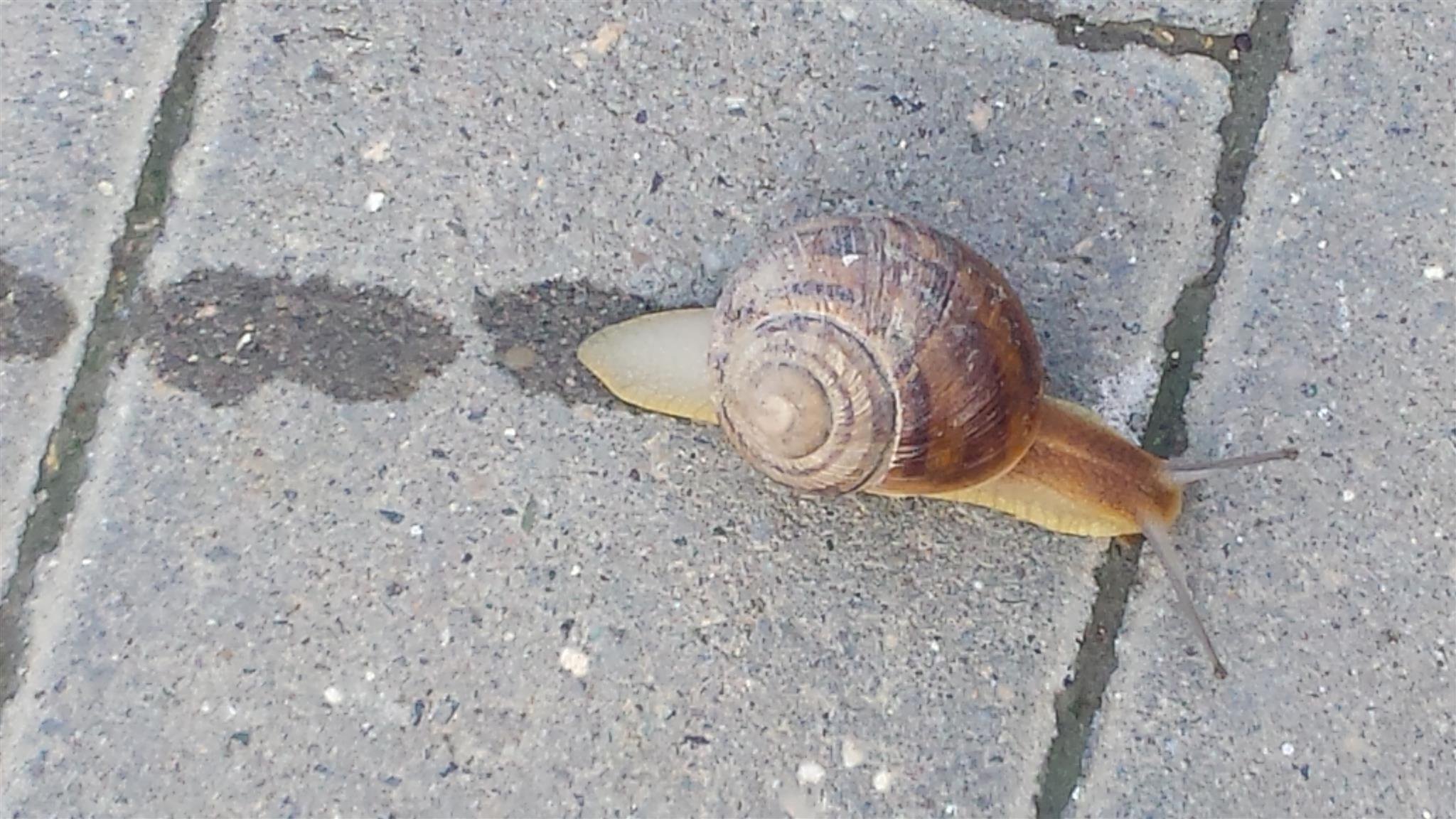 Оставив след умчаться в вечность