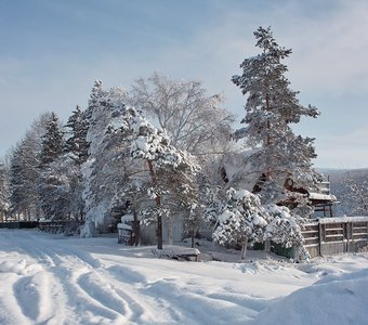 Сказки старого Бодайбо