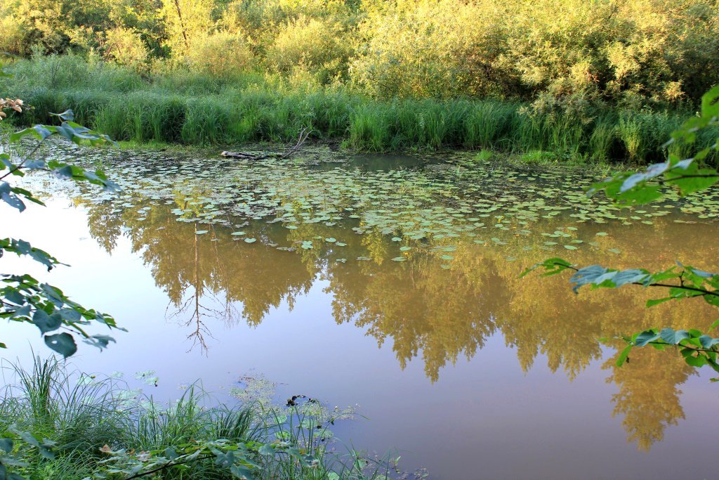 Отражение-2