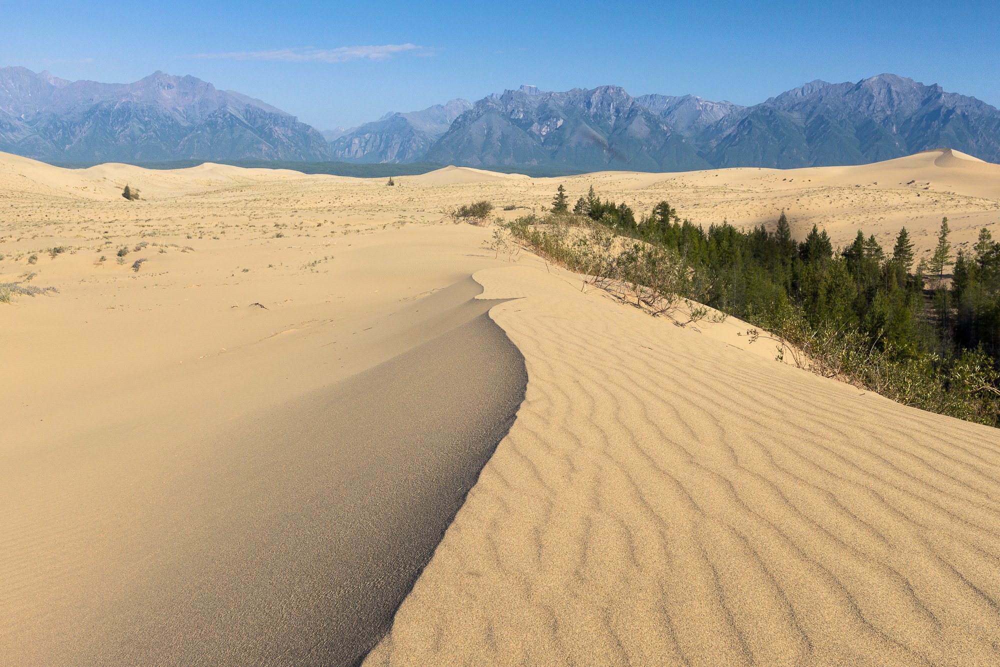 Desert на русском. Чарские Пески Забайкальский край. Пустыня Чарские Пески России. Забайкальская пустыня Чарские Пески. Чарская пустыня Забайкальский.