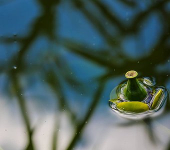 космос в воде