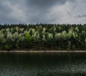 Днестр в весеннем наряде