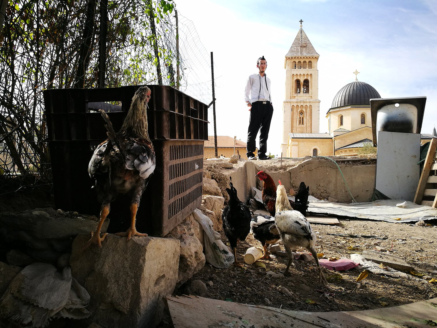 Наблюдая за жизнью