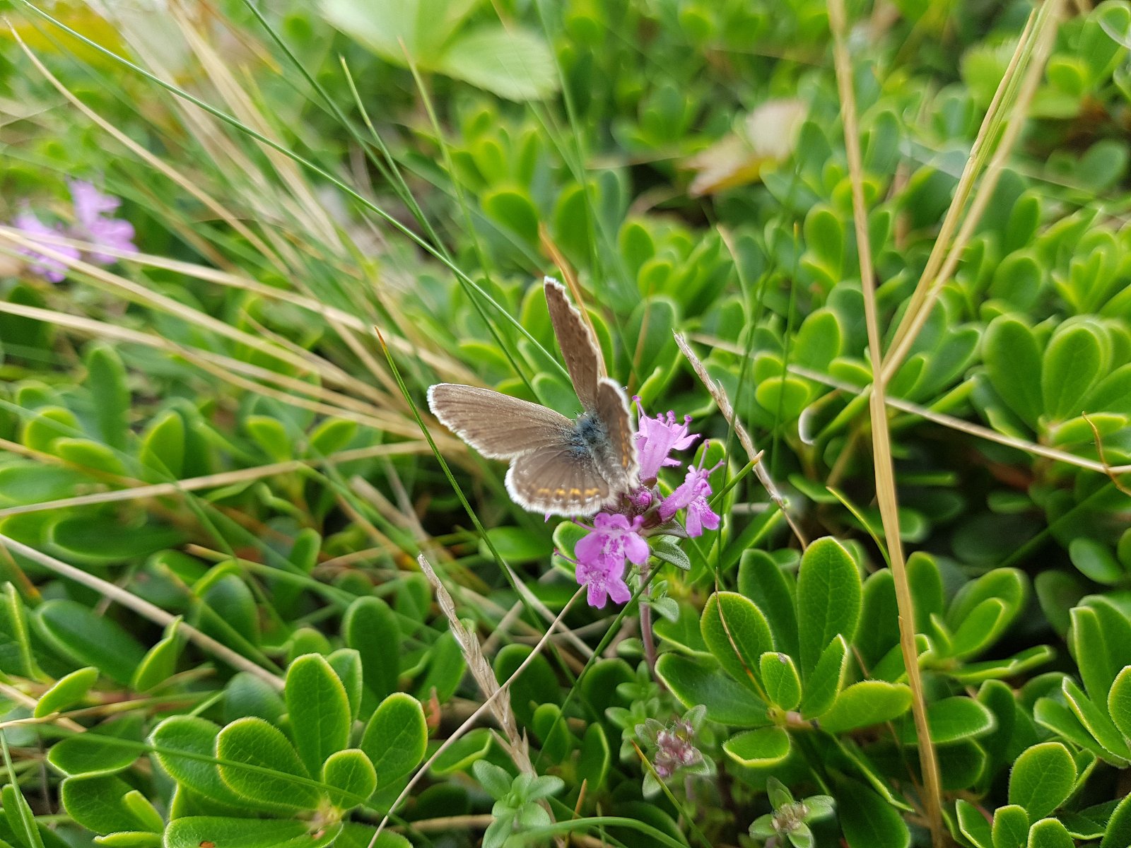 Прикоснись к природе