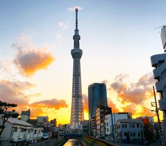 Tokyo Skytree на фоне заката