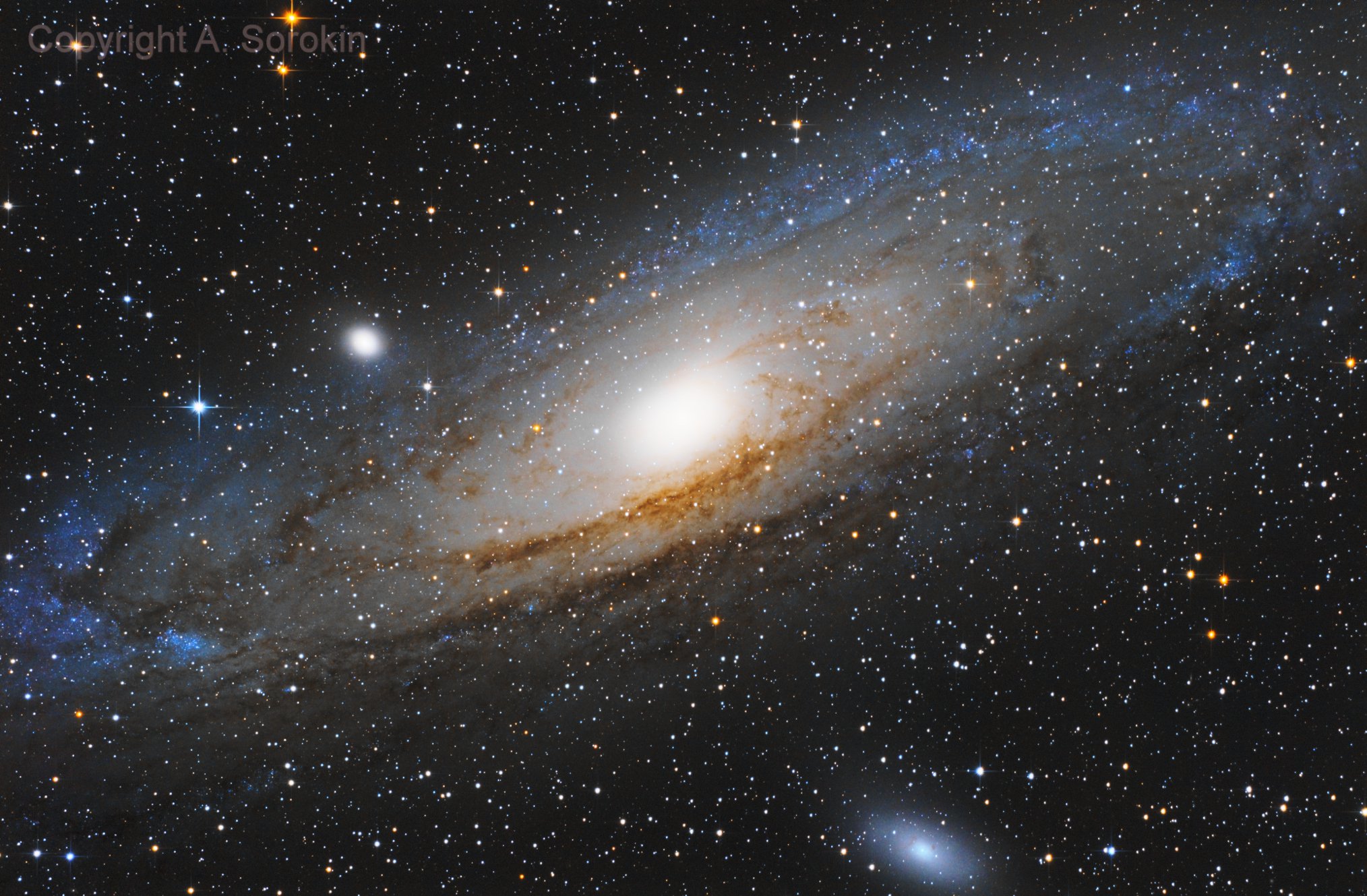 Галактика Андромеда (M31)
