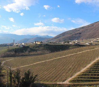 Винодельческая зона региона Венето