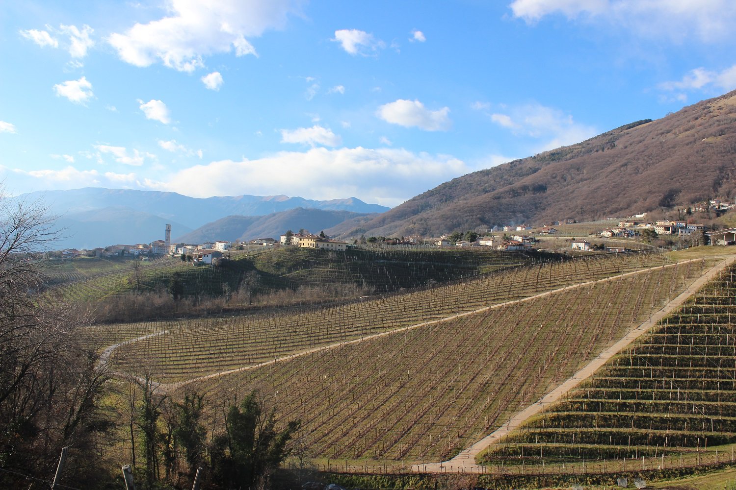 Винодельческая зона региона Венето