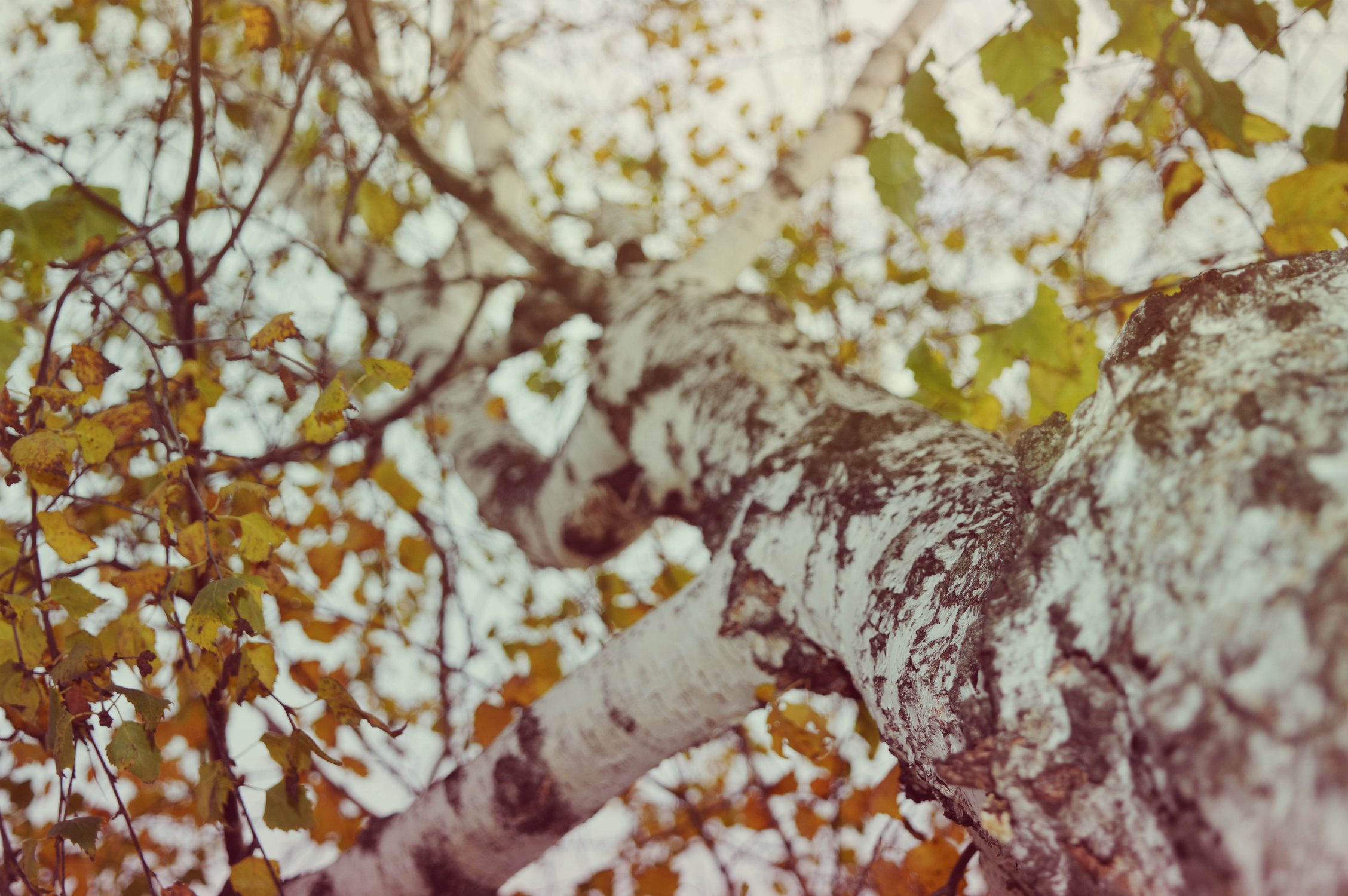 Завораживает...