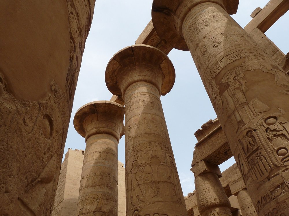 вечный лотос