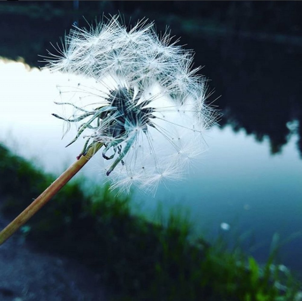 Мне бы в небо...