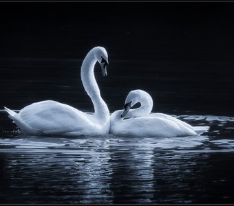 /upload/iblock/616/616ee6cfea8c7e4e4d2c7c0484f1f3f4.jpg
