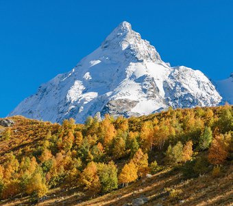 В ущелье Адыл-Су