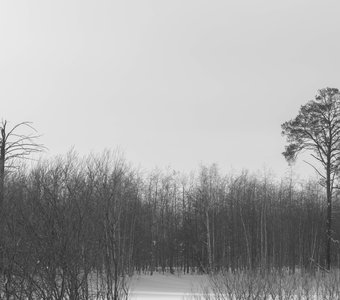 Сибирский пейзаж