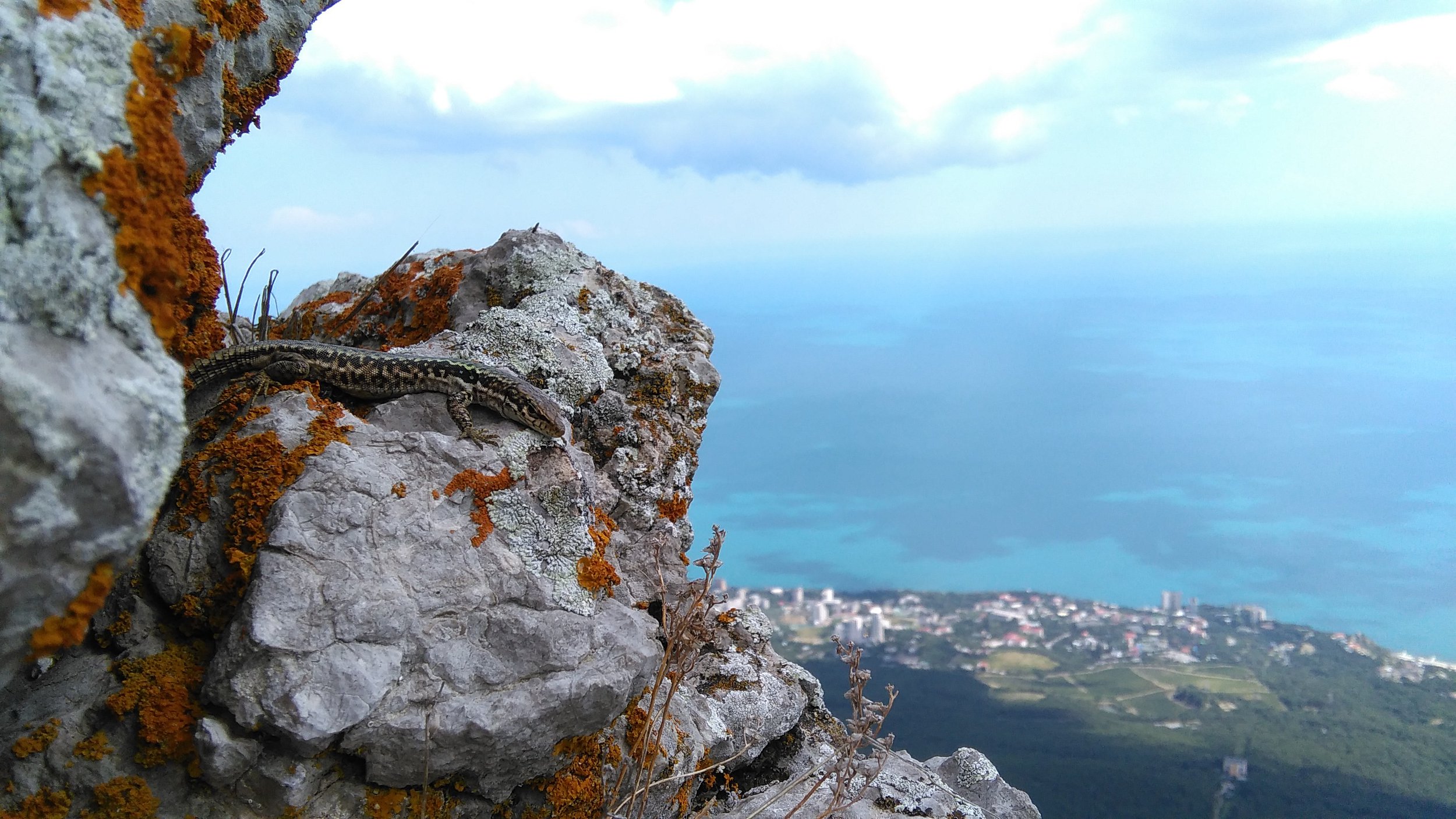 Взгляд свысока