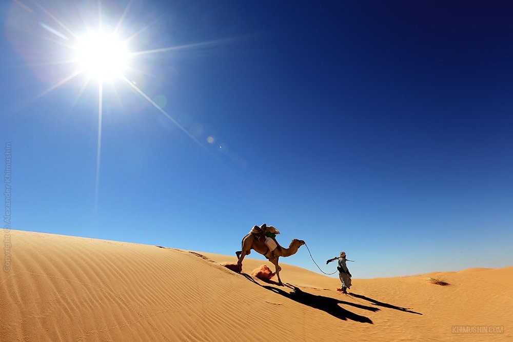 Мавритания. Сахара