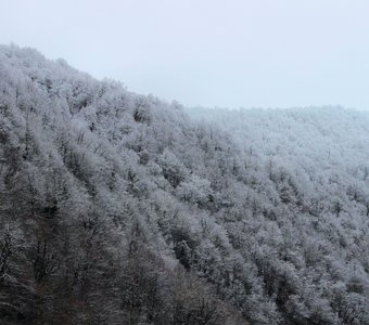 Сонное утро