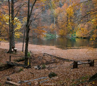 Осенняя тищина на берегу озера Гаранохур