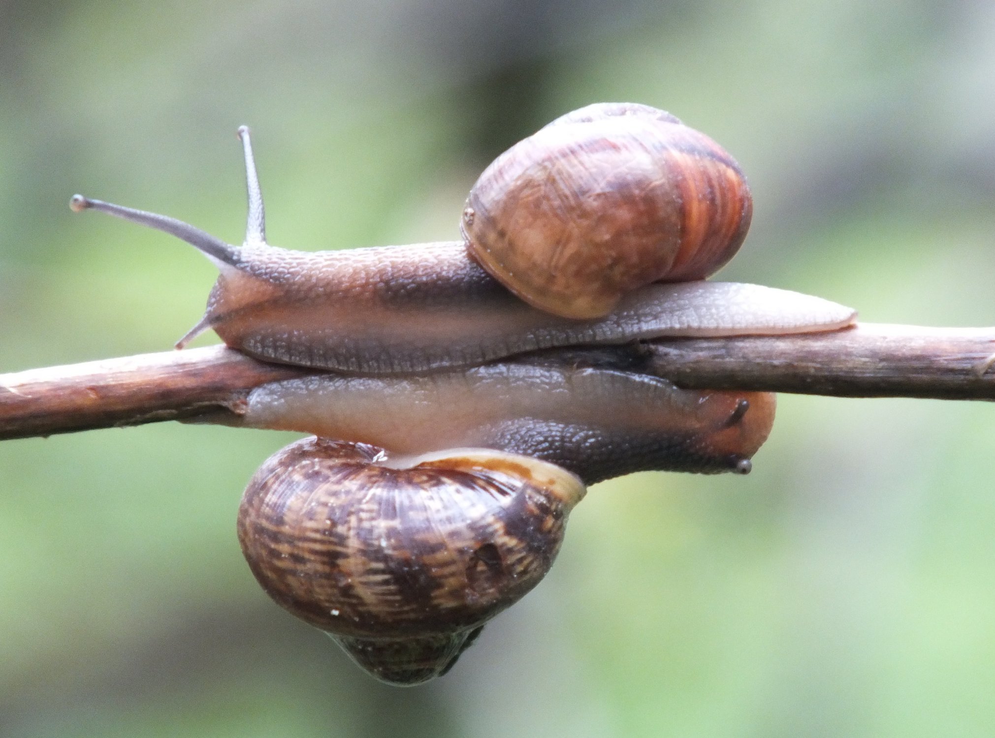 ФИЛОСОФИЯ ЖИЗНИ