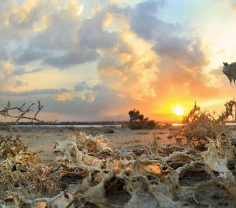 Закат на соленом озере, Ларнака, Кипр