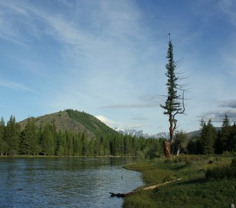 Река Аргут