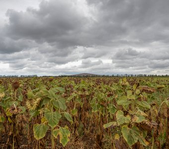 Суровая гора