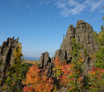 Осень в тайге