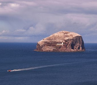 Bass Rock. Северный Бервик. Шотландия