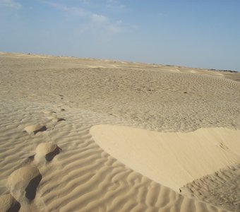Природа рисует на песке