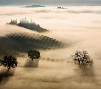 Мистический туман