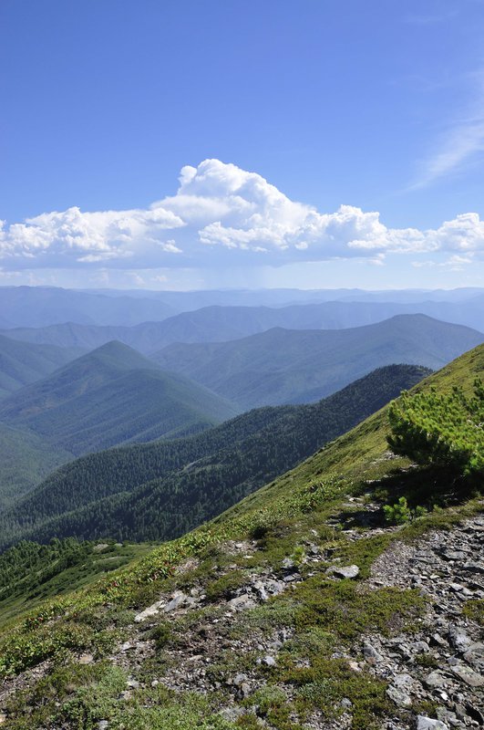 Комаринский хребет