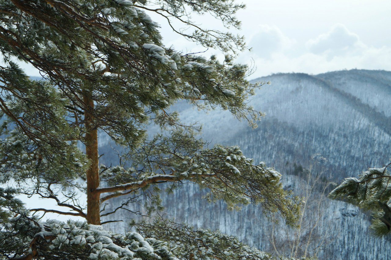 Типовой вид