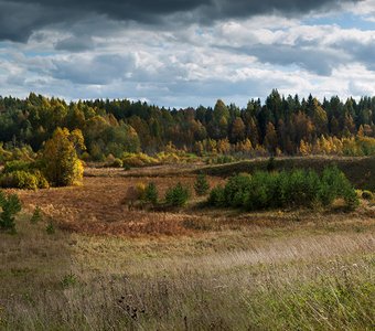 Осенний свет