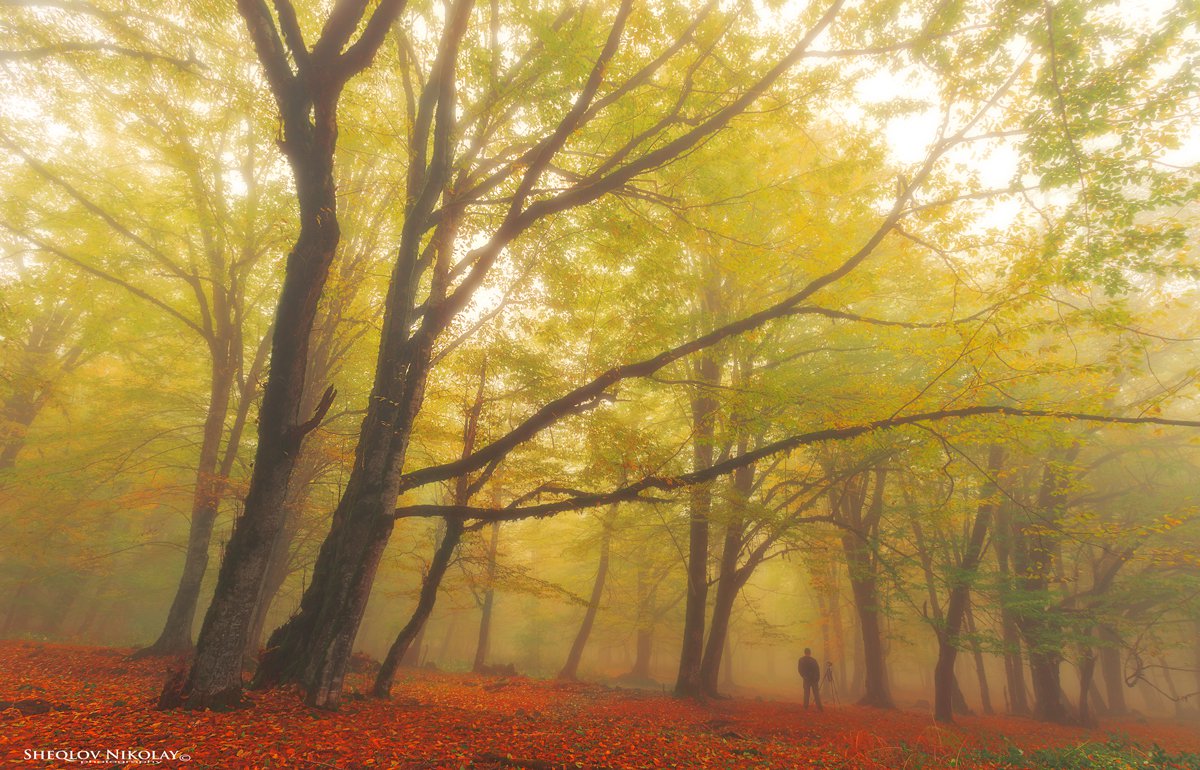 Осенний Туман