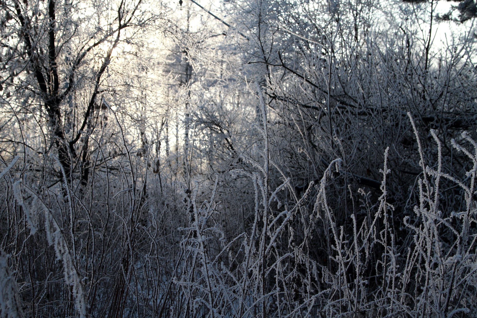 Дыхание зимы