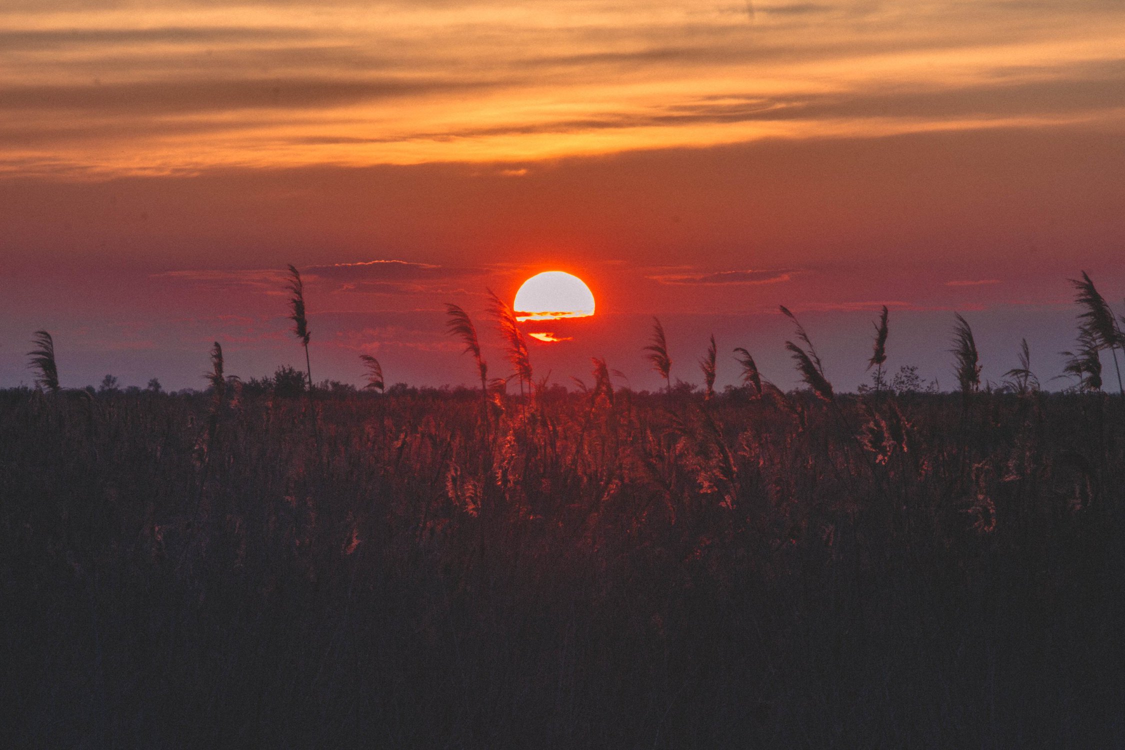 Приближение ночи